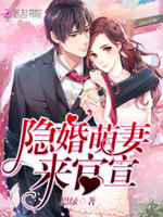 都是总裁惹的祸