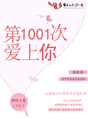 第1001次爱上你