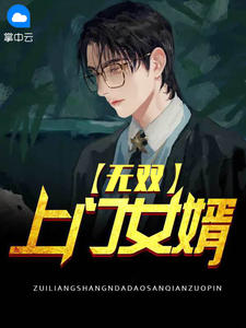 无双上门女婿大道三千