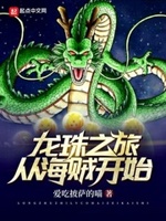 龙珠之旅从海贼开始