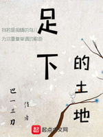 足下的土地