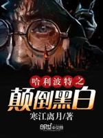 哈利波特之颠倒黑白