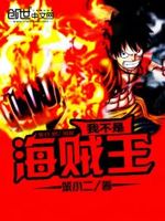 我不是海贼王