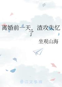 离婚前一天，渣攻失忆了